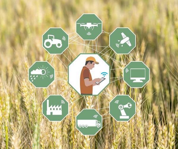 کشاورزی و دامپروری